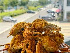 -品鲜村农家菜·阳澄湖大闸蟹(总店)