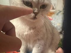 -簋街