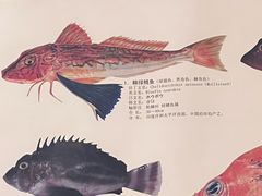 -镹·鱼料理  国产鱼使用店