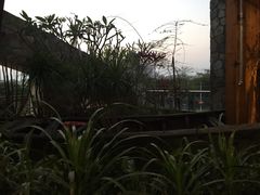 -琼菜坊·无鸡不成宴·海南菜老爸茶糟粕醋(海口骑楼老街店)