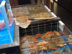 -阿明小菜·海鲜·上海菜(梅陇华理店)