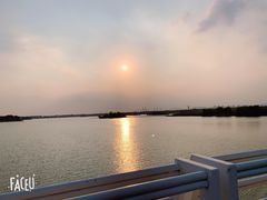 -贡湖湾湿地公园
