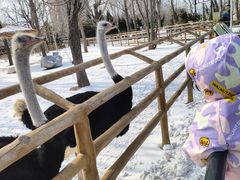 -大连森林动物园