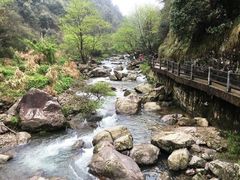 -百杖潭景区