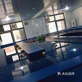 游泳就要从宝宝抓起