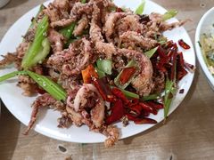 干煸鱿鱼须-鑫来子菜馆