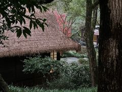 -中国茶叶博物馆(双峰馆区)