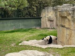 -上海野生动物园