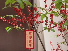 -淮扬府·游园京梦(成都 SKP 店)