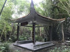 -大屏嶂森林公园