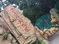 -紫马岭公园