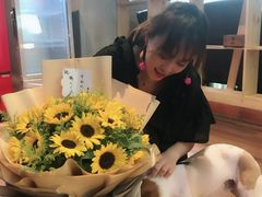 -瑞鹏宠物医院·爱宠堂·骨外专科(西荷分院)