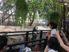 -TrueLove @ Neverland (Husky Cafe)