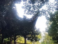 -杭州半山国家森林公园