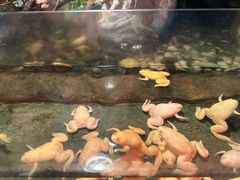 -蓬莱欧乐堡海洋极地世界