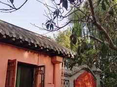 -桃花堤公园