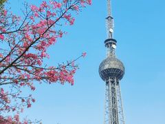 -文华公园(禅城区)