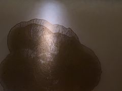 -Love Story爱情故事·养生SPA会所(体育店)