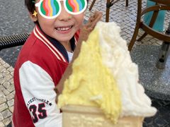 -柠檬车露(卖草地店)