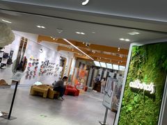 -allbirds(三里屯太古里南区店)