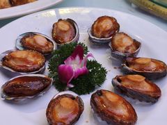 -天下春花园酒店(大东店)