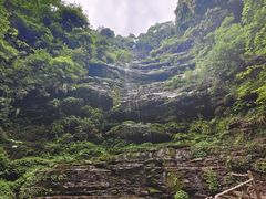 -碧峰峡风景区