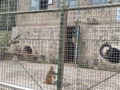 -南京金牛湖风景区