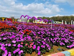 -松山湖梦幻百花洲