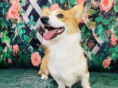 -太原东方动物医院(小店分院)