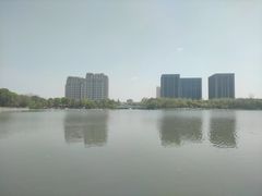 -南翔镇银翔湖公园