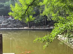 -香山公园