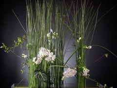 -荷兰布尔玛国际花艺学院