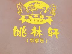 -姚林轩