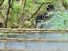 -昆明青龙峡风景区