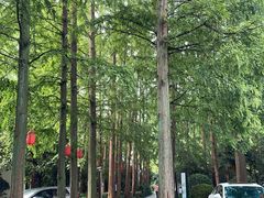 -上海怡沁园度假酒店