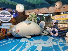 -海合安青岛极地海洋公园