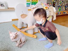 -藦茜花园宠物主题亲子互动体验馆(国顺东路店)