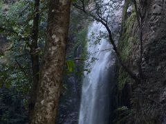 -莫里热带雨林景区