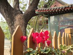 -万柳阁小馆·花园餐厅(龙潭湖店)