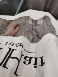 -OnHair造型
