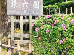 -金泽21世纪美术馆