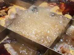 -白乐天毛肚火锅馆(南滨路店)