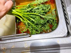 茼蒿-海底捞火锅(方塔东街店)