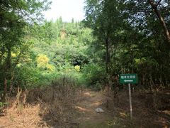 -邙山陵墓群