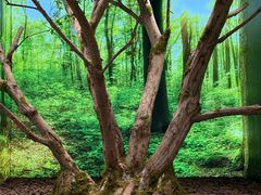 -极简口腔(总院)