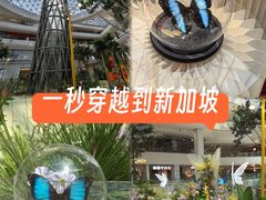 -LuOne凯德晶萃广场(徐家汇路店)