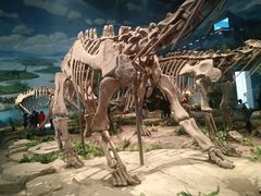 -自贡恐龙博物馆