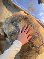 -Zoolung Zoolung动物主题公园(海信广场店)