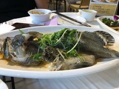 -强记海鲜·大排档(蛇口新街店)