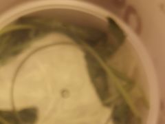 -湊湊火锅·茶憩(南京万象天地店)